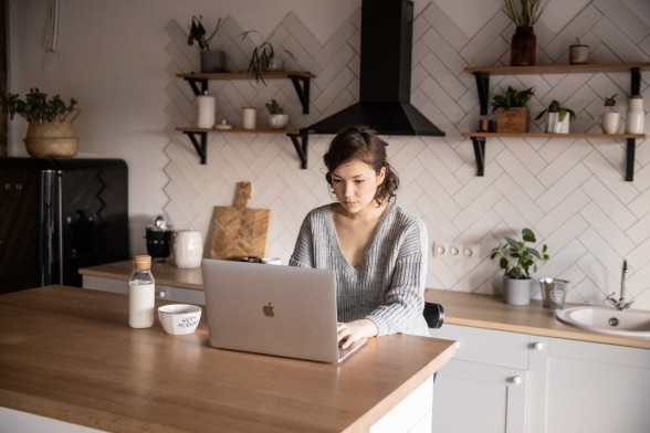 Own or rented online store?